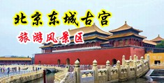 白色丝美女自慰扣逼中国北京-东城古宫旅游风景区